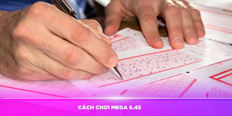 Hướng dẫn cách chơi Mega 6.45 một cách đơn giản nhất